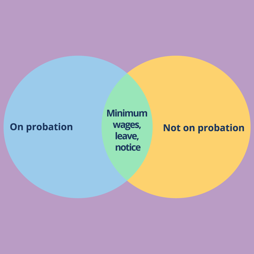 Instagram Probation