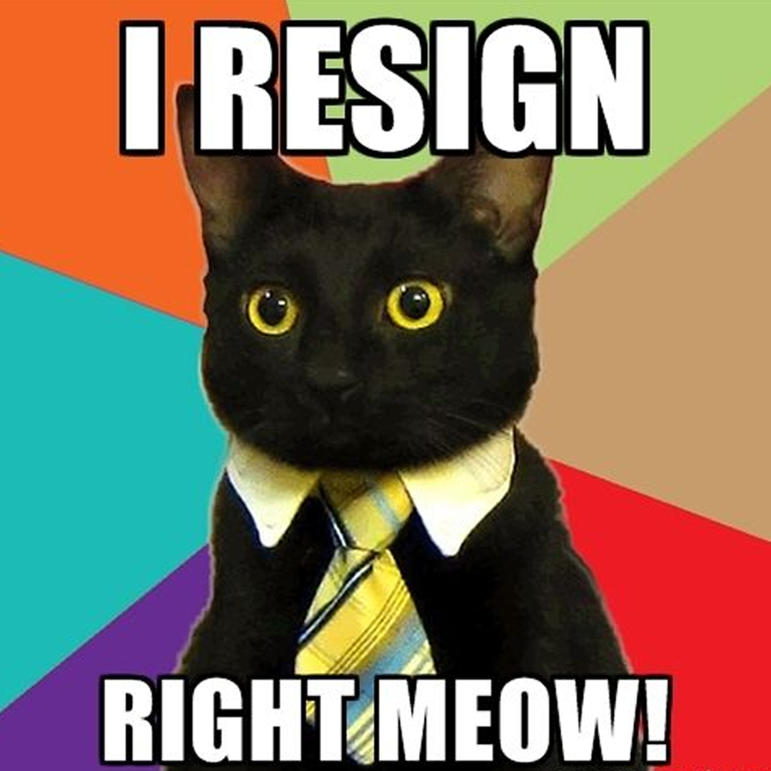 Meme of cat in a tie with words 'I resign right meow!'