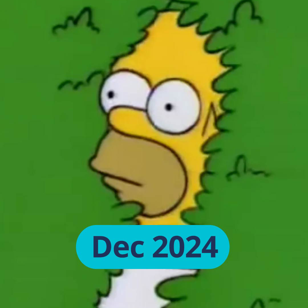 Image of Homer Simpson standing in a bush. Text in blue bubble saying Dec 2024.